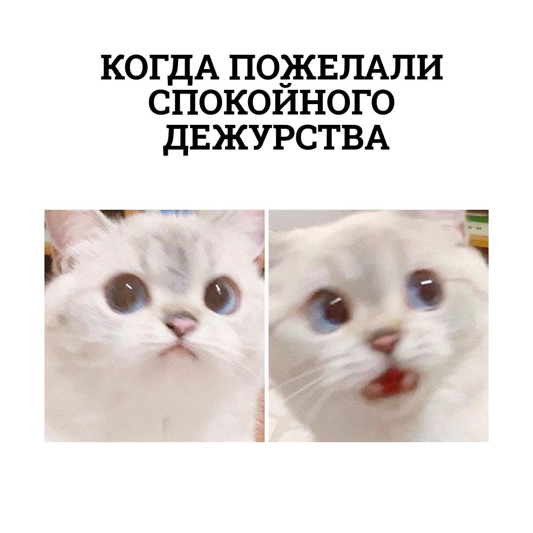 Пожелания спокойного дежурства. Открытка спокойного дежурства. Удачного дежурства картинки. Спокойного дежурства мужчине.