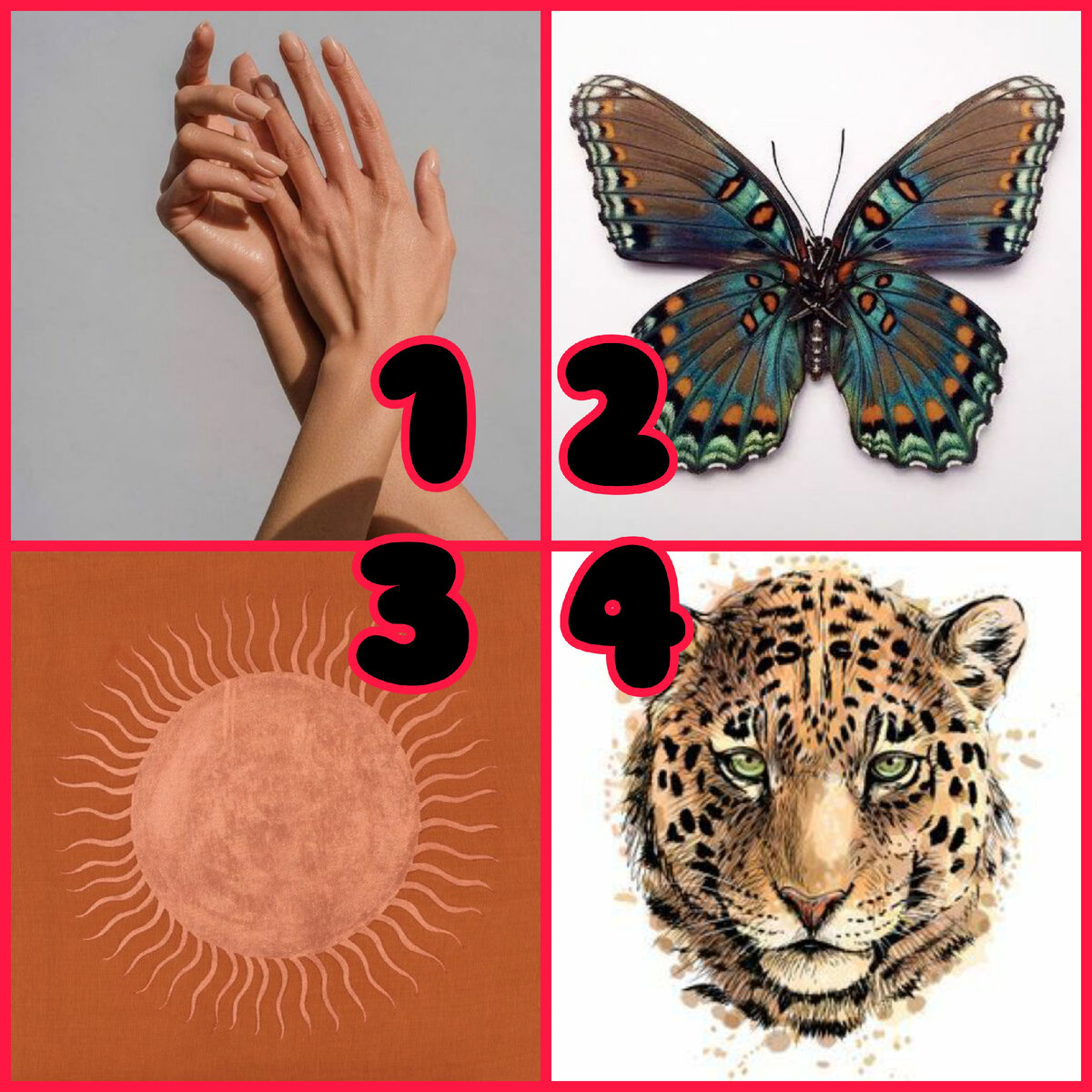 Выбирайте фрагмент