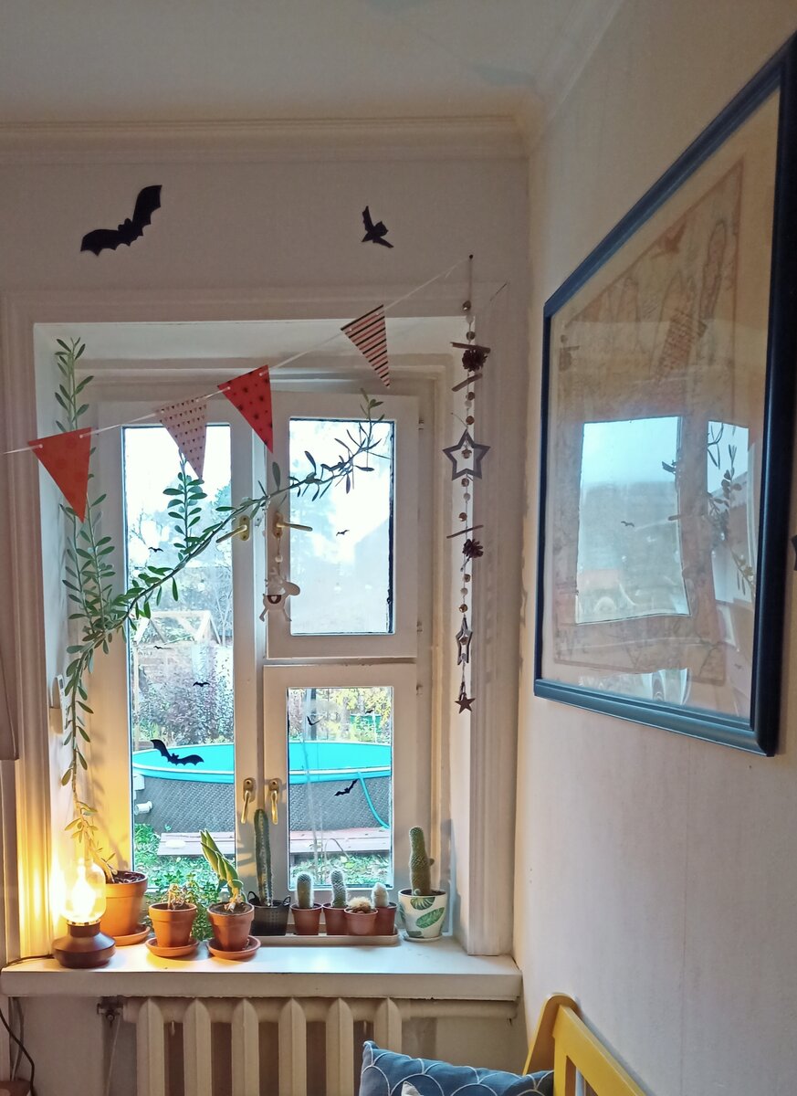 Вот такие маленькие окошки в нашем старом доме. Много рассады тут не разместить.