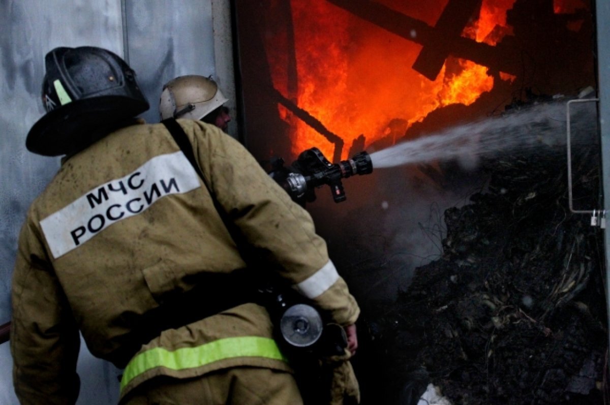    Фото для иллюстрации