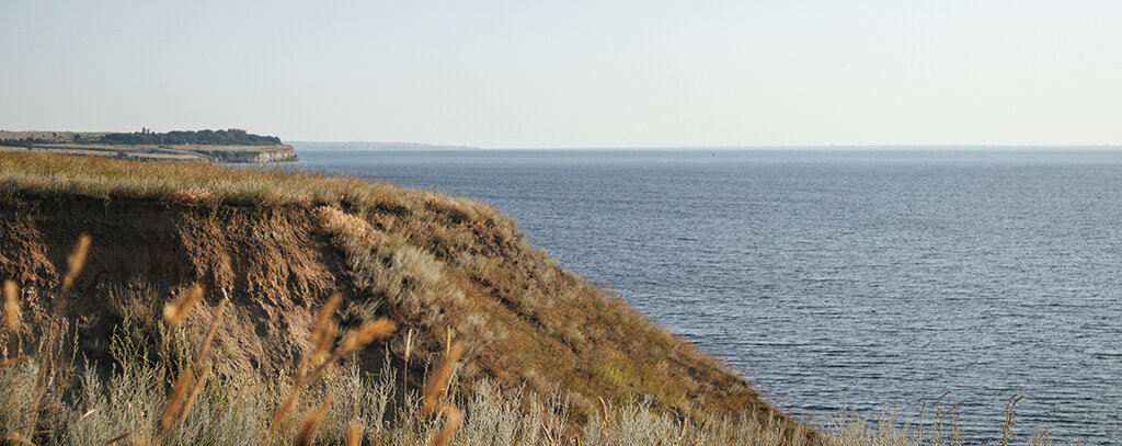 Изображение в иллюстративных целях