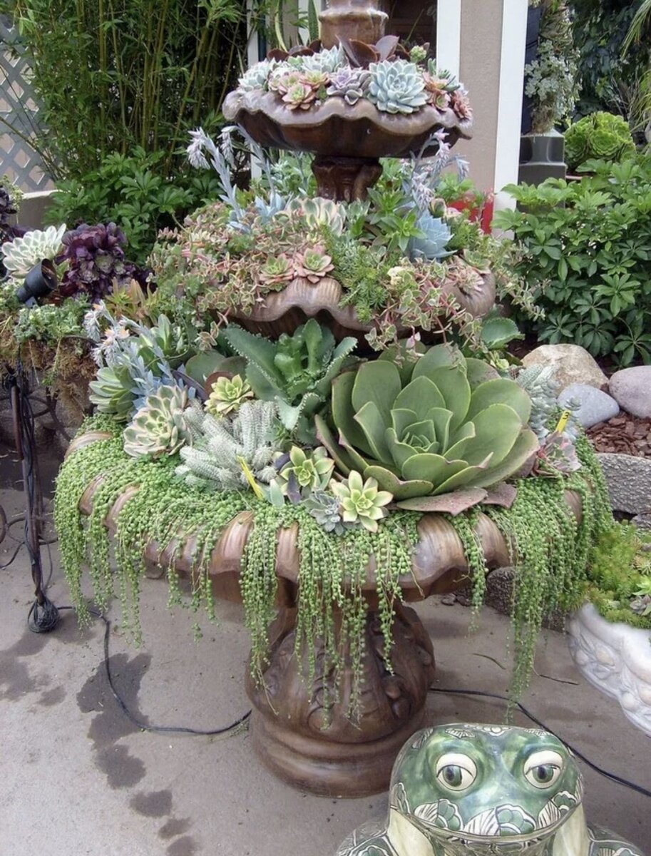 Фото из открытых источников Яндекс