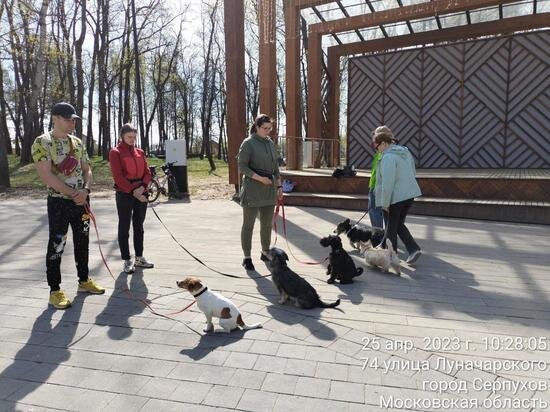     фото из телеграм-канала "Парки Серпухова"