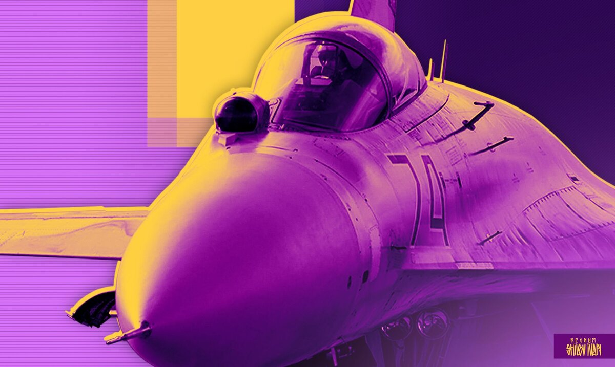    Авиация в зоне СВО Иван Шилов (с) ИА REGNUM