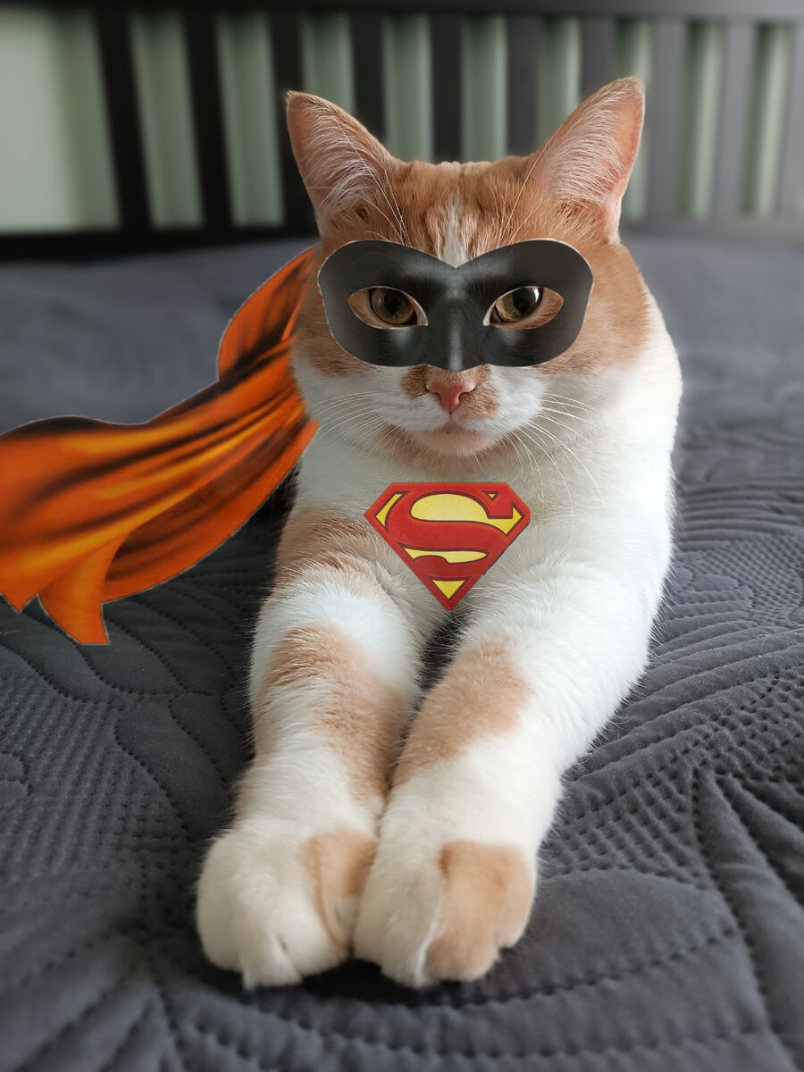 А кто ваш любимый супергерой? Пишите в комментариях.