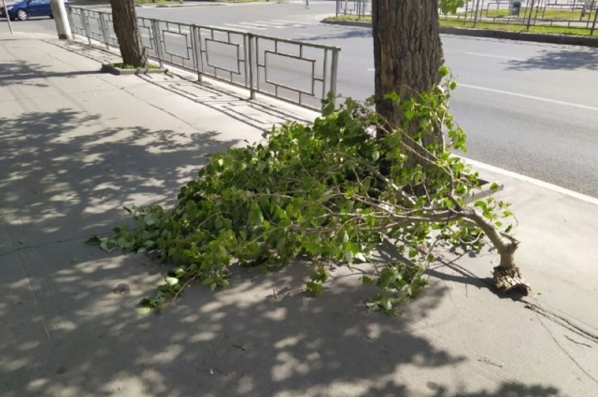    Ураганный ветер сносит ограждения и рекламные щиты в Петропавловске