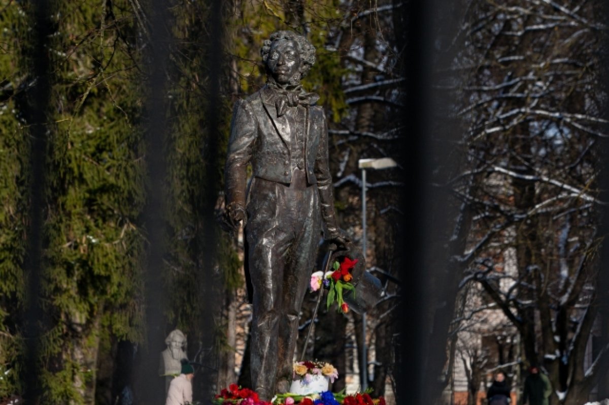    Алкснис объяснил, почему власти Риги собираются снести памятник Пушкину