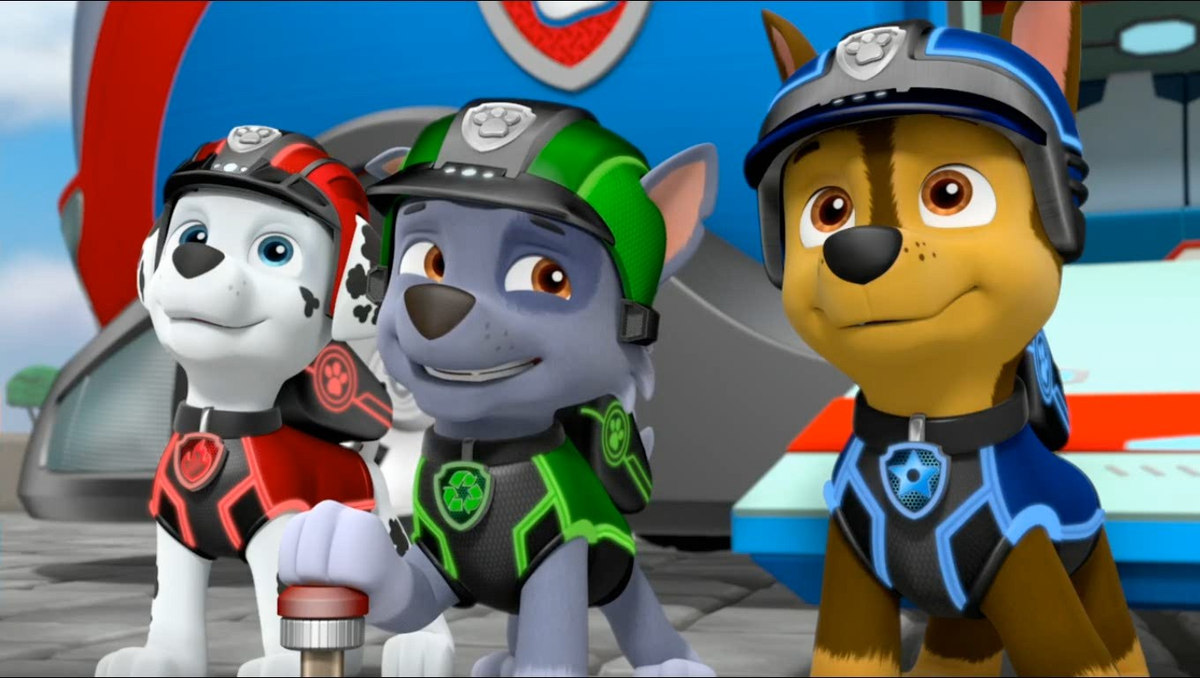 Щенячий патруль коди. Гонщик и Рокки Щенячий патруль. Paw Patrol Рокки.