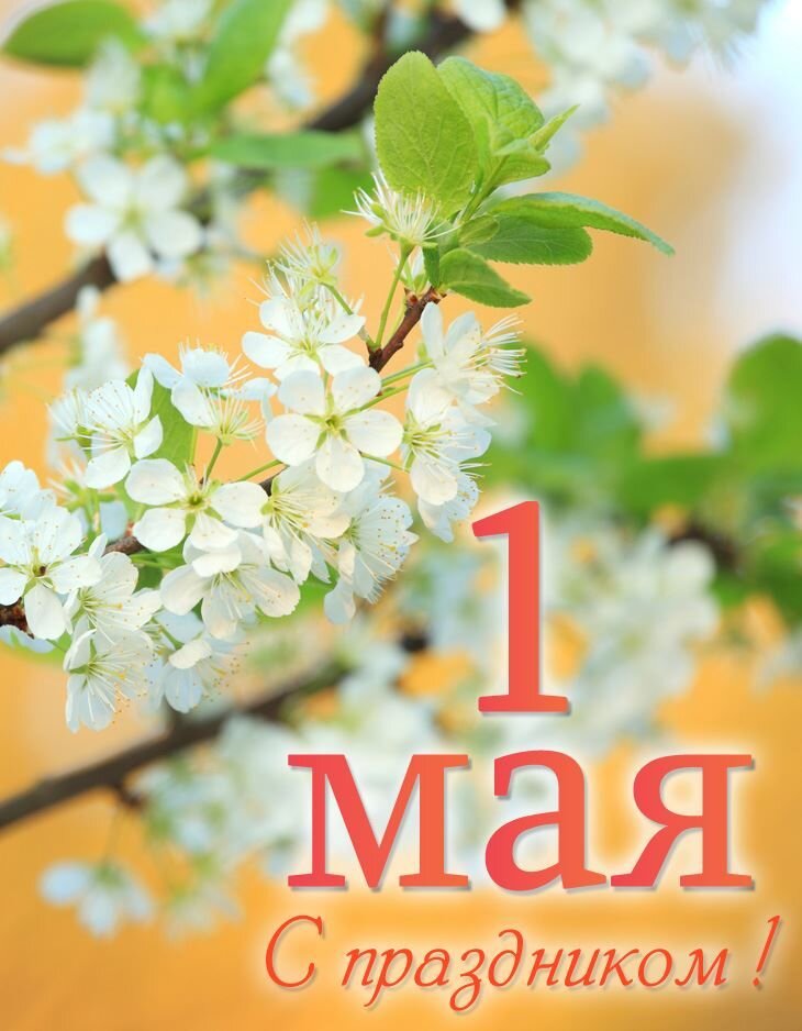 С днём весны вас 🌸💮💐🌻🌼🌷