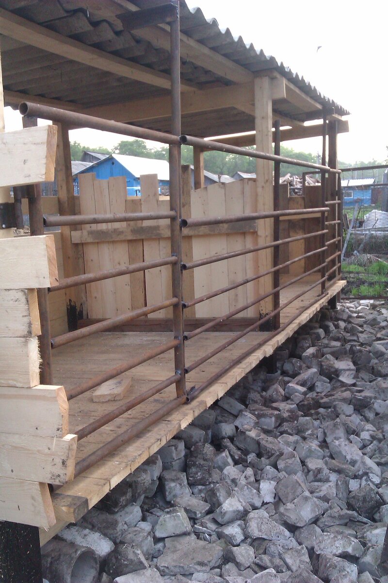 Летники для свиней 2016 год