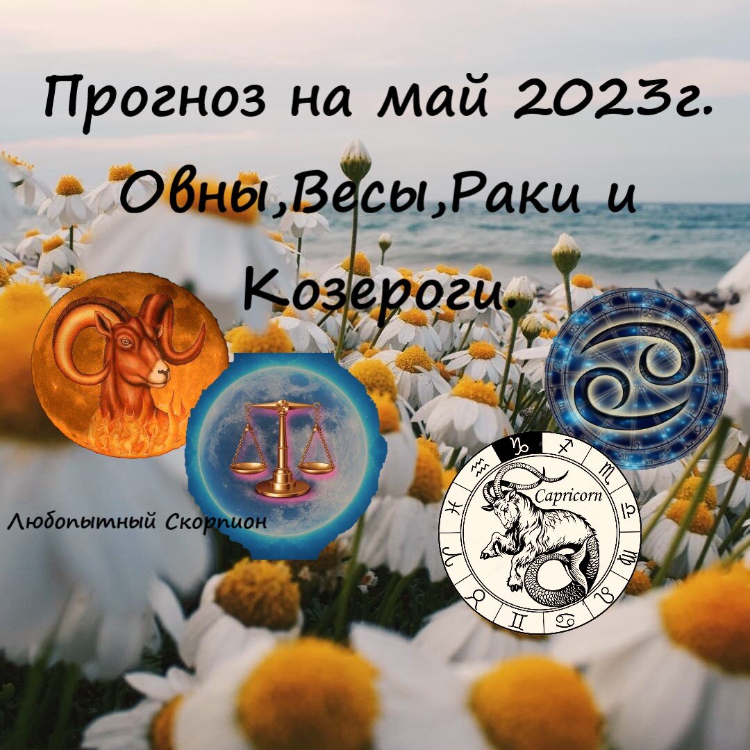 мои картинки