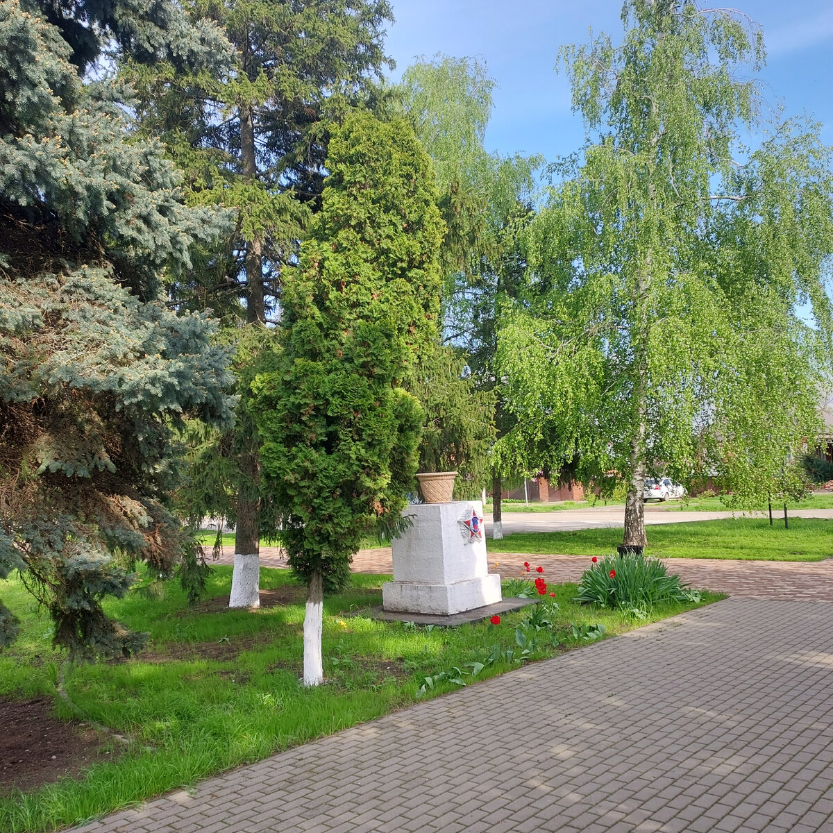 Часть парка в Медведовской