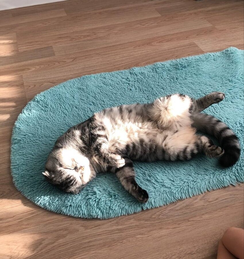 Из личного архива 