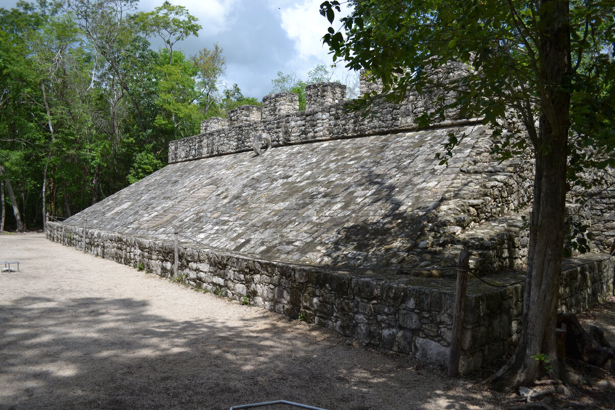 Все фото\видео мои