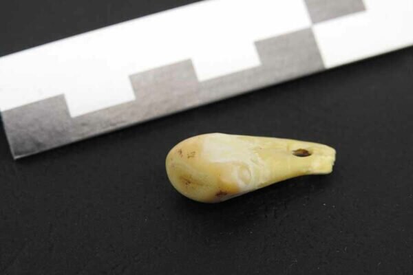    Фото: Max Planck Institute for EvolutionaryAnthropology