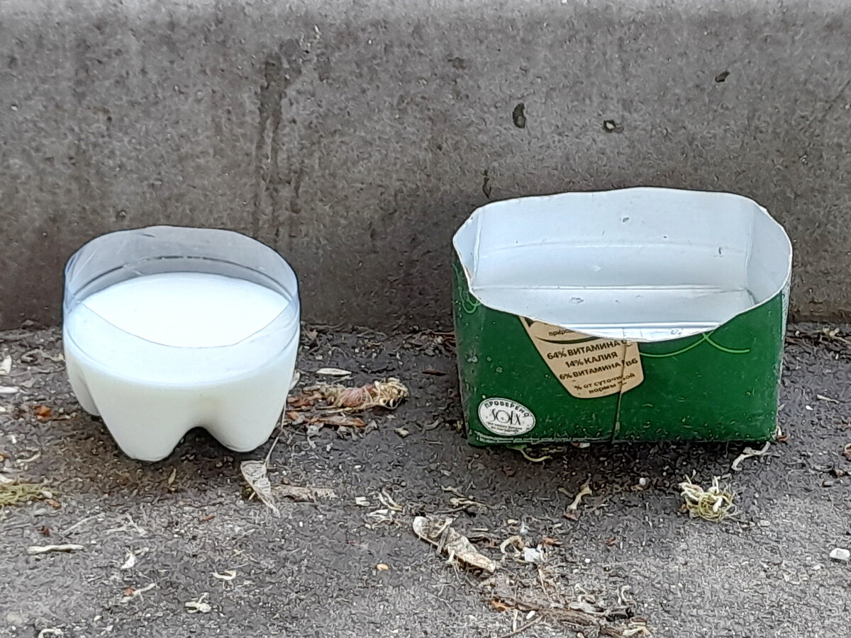Молоко и вода для кошек у подъезда жилого дома в Москве. Фото из личного архива