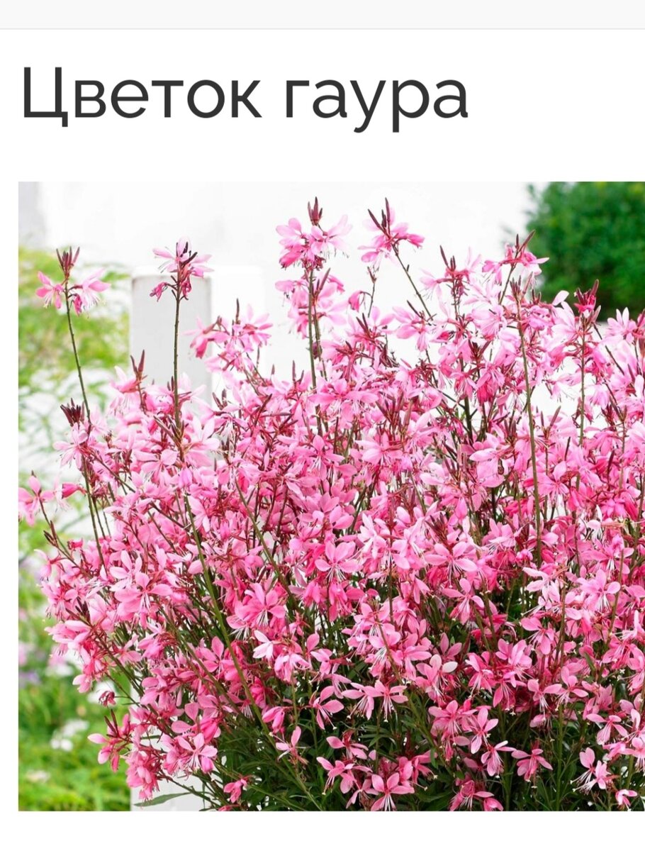 Фото из интернета/ В идеале это должно выглядеть аот так