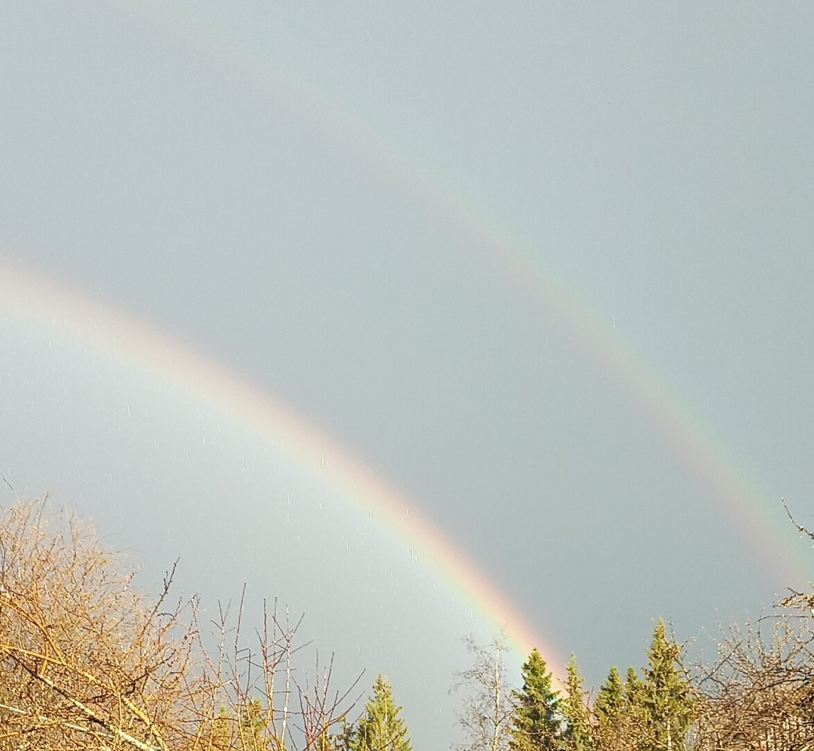 Фото автора. Радуга после майского дождя. 