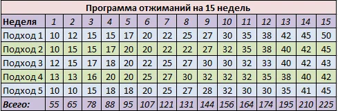 График на год программа Безопасные и эффективные отжимания на брусьях. Как равномерно накачать грудь. Бр