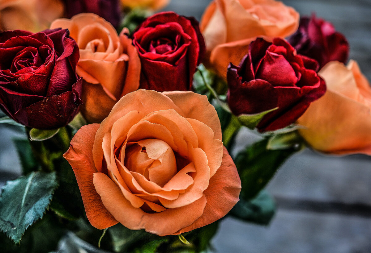 Цветочный дворец. Фото: Pexels