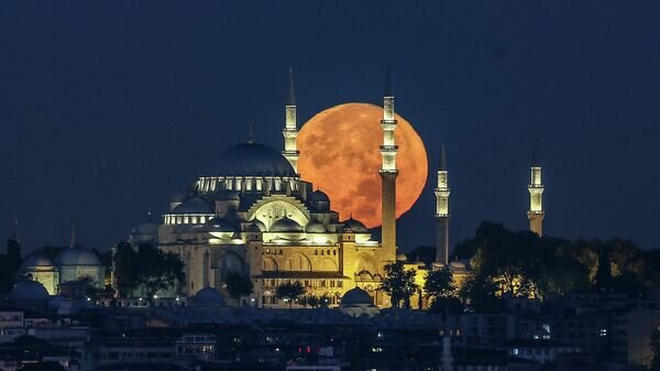    © AP Photo / Emrah Gurel