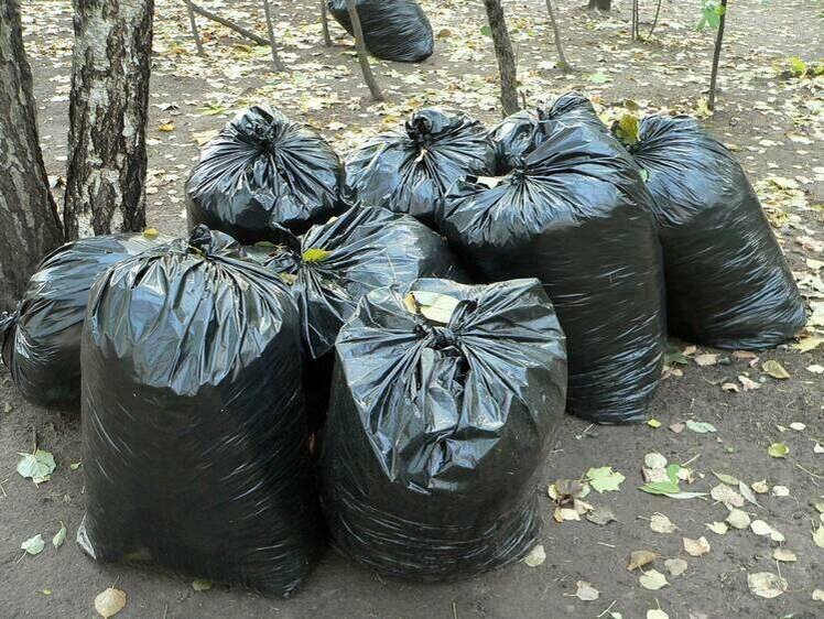     Фото: Елена Минашкина/Комсомольская правда