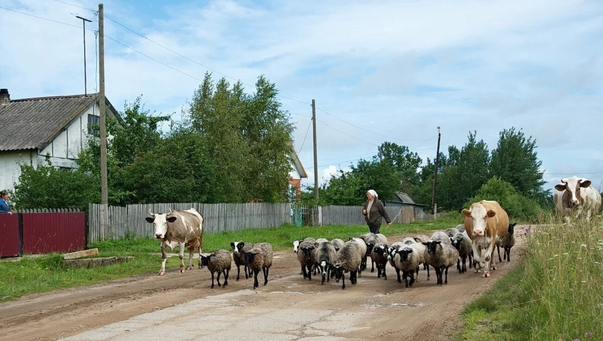 Хозяйство в деревне