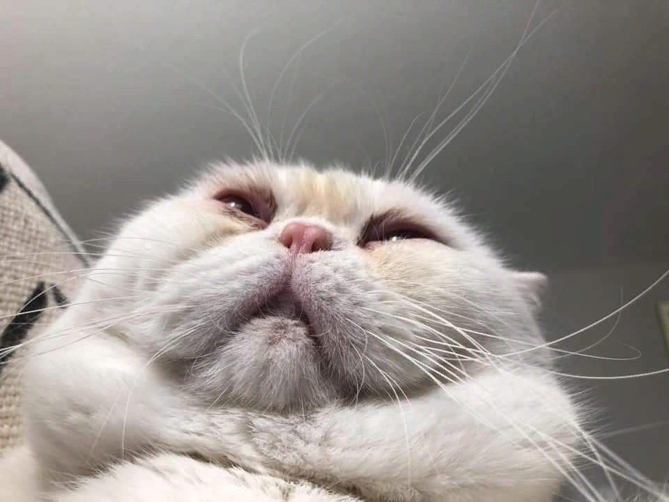 good mood#1