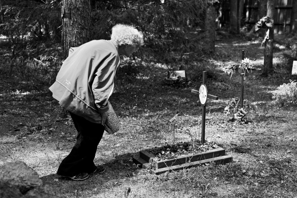 Фото взято из интернета 