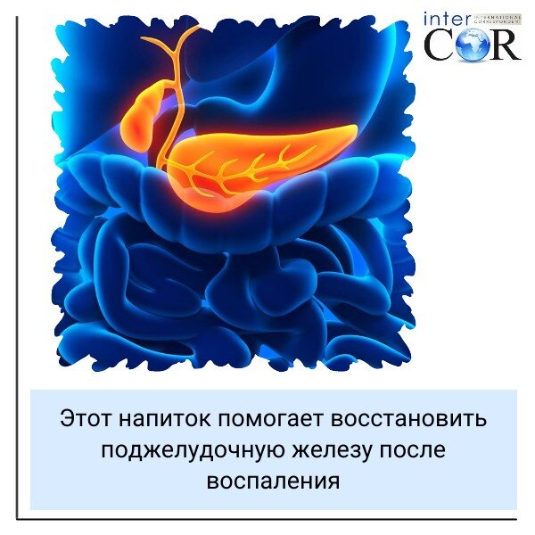 Как быстро восстановить поджелудочную. Как восстановить поджелудочную. ферментативная система человека.