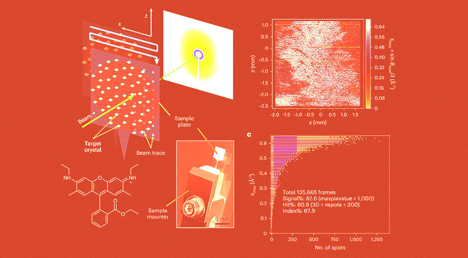   Kiyofumi Takaba et al. / Nature Chemistry, 2023; N + 1