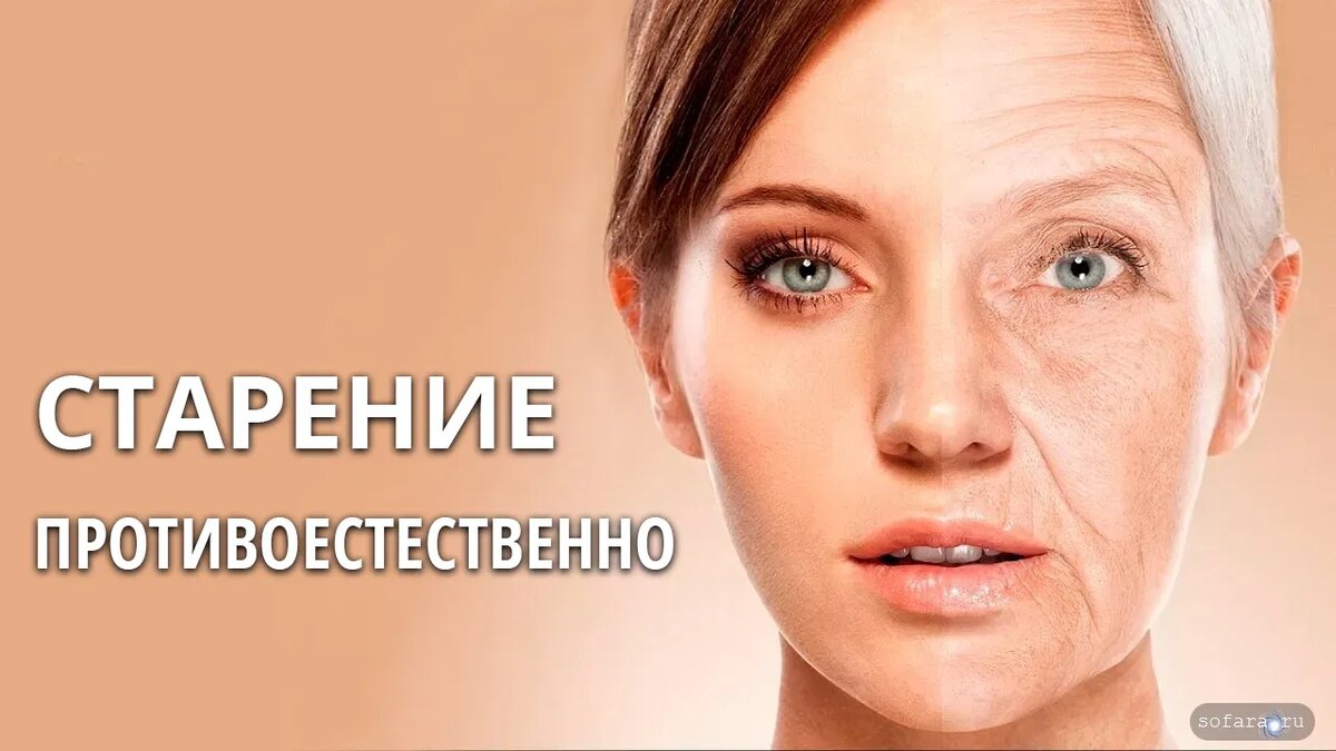 Наука изучающая старение организма