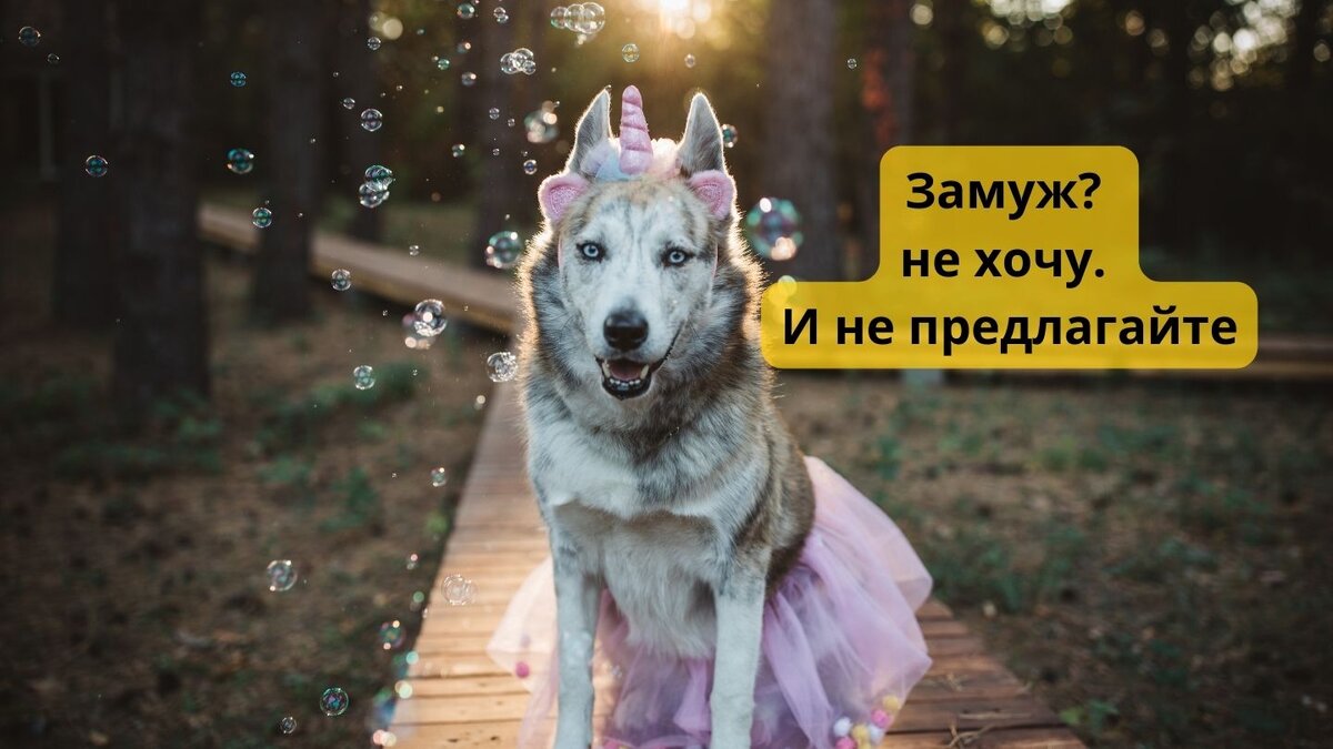 Став хочу замуж