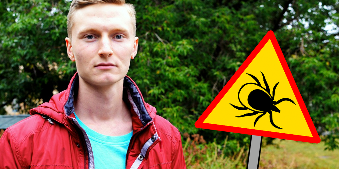 Пора задуматься о защите от клещей на даче и на природе. Я изучил научную литературу и делюсь информацией, где обитают клещи и когда активны