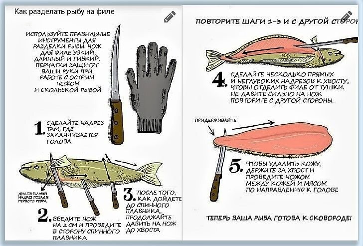 Схема разделки рыбы на филе. Схема разделки рыбы. схема разделки щуки.