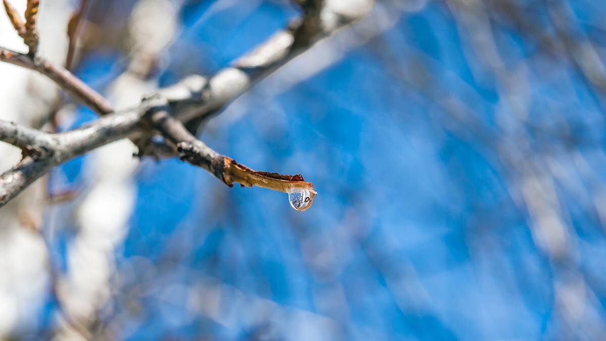    Фото: shutterstock