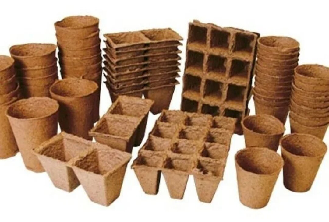 Торфяные горшочки 100х110 (х150). Торфяные стаканы. Торфяные стаканы. Торфяные стаканы. Торфяные горшки 10 шт.