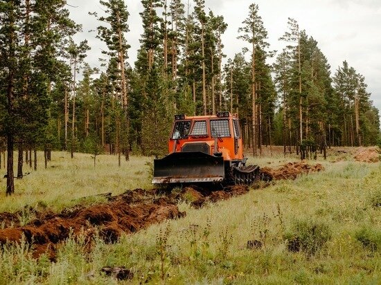     ФОТО: ПРЕСС-СЛУЖБА ПРАВИТЕЛЬСТВА БУРЯТИИ