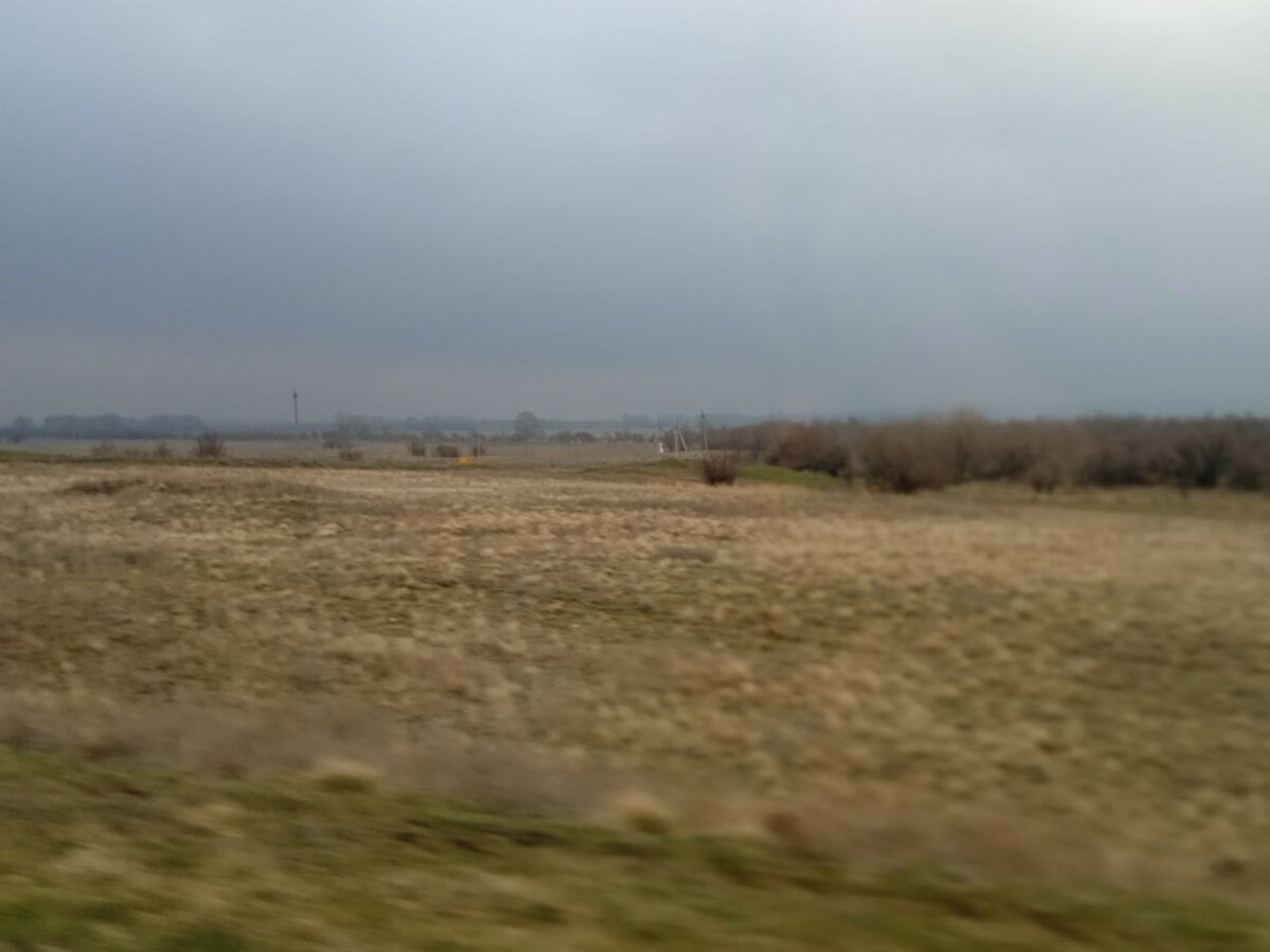 Это я утром из окна машины сфоткала. У нас немножко погода ухудшилась, пасмурно, ветер. Но все равно - весна. 