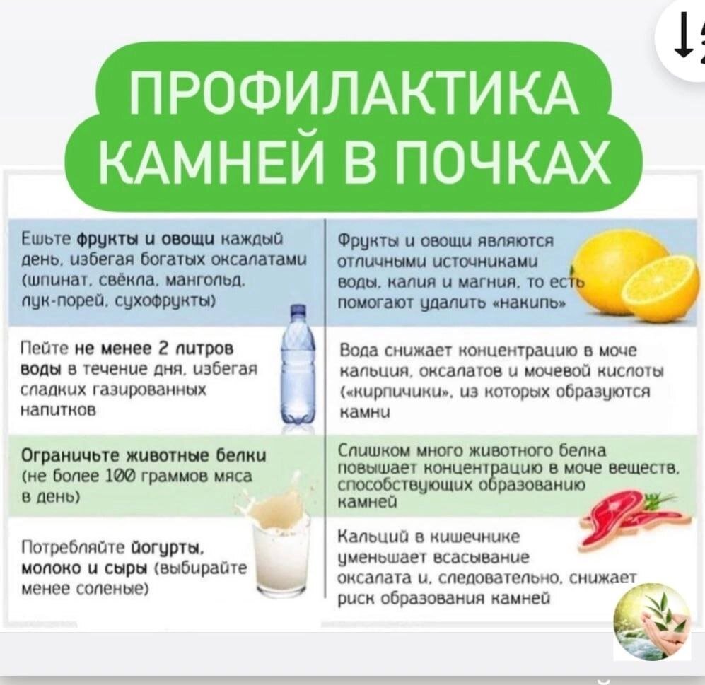 Сохраняем здоровые почек надолго