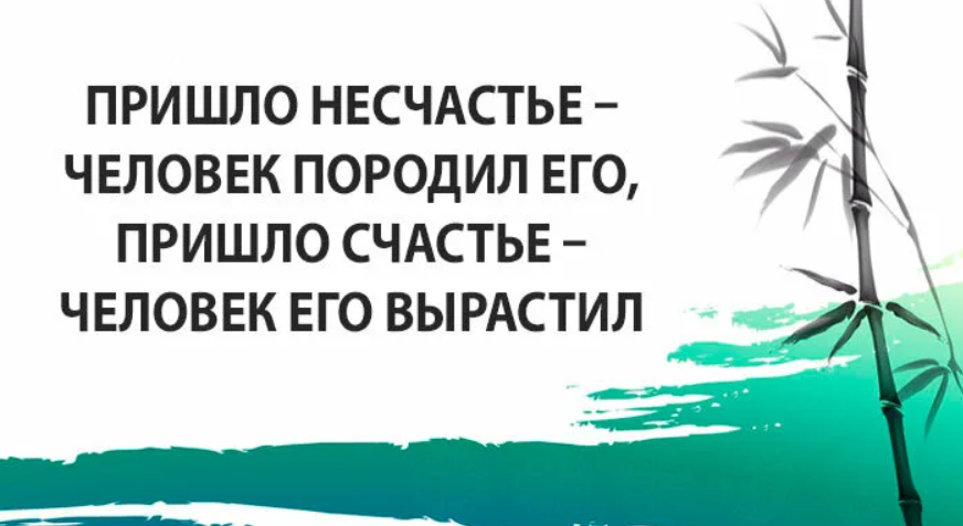 Несчастье дзен. Давай наставления тому кто ищет знаний. Давай наставления только тому. Жизнь просто но мы настойчиво её усложняем. Люди усложняют жизнь.