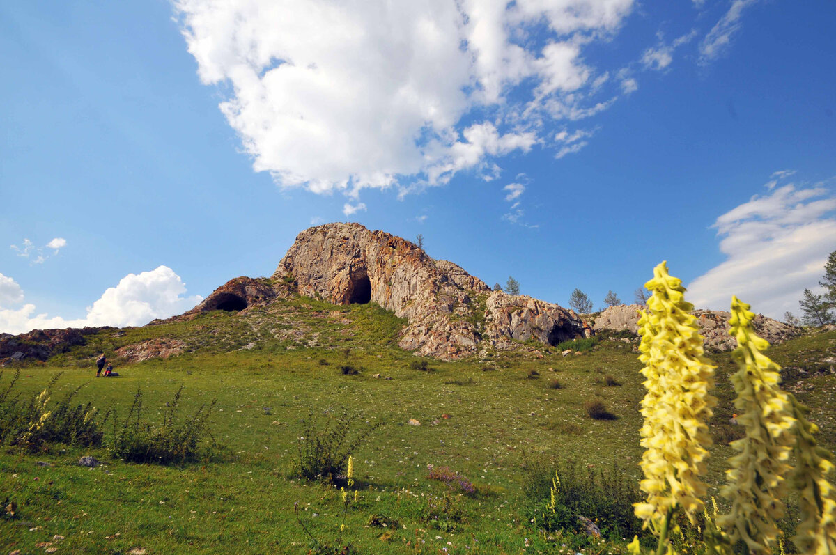 Фото Ольга Шадрина