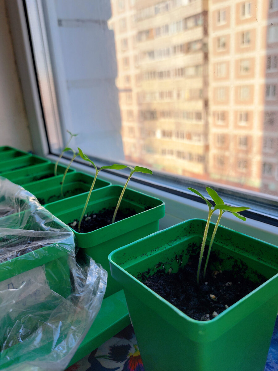 Фото автора канала 