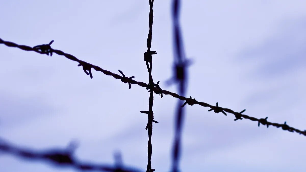 Фото: pxhere.com