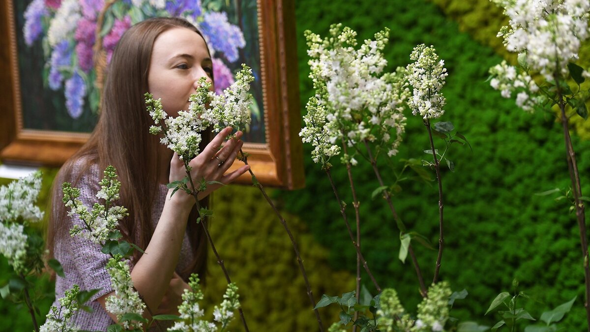    Выставка "Сиреневый сад" на ВДНХ© РИА Новости . Светлана Шевченко