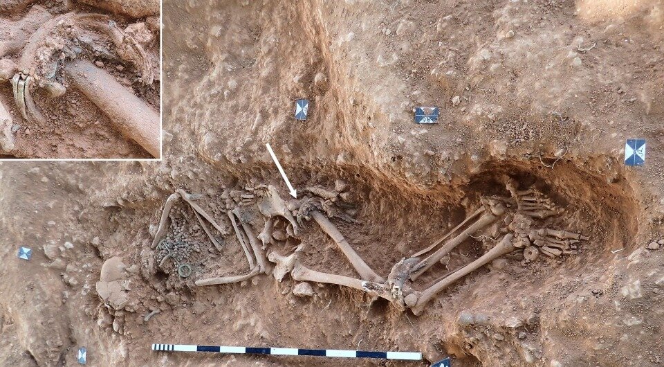   Katie Hermer et al. / Journal of Archaeological Science: Reports, 2023