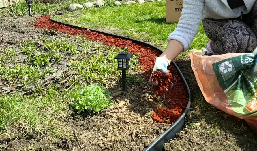 Фотография взята из источника vosadu-li-vogorode.ru