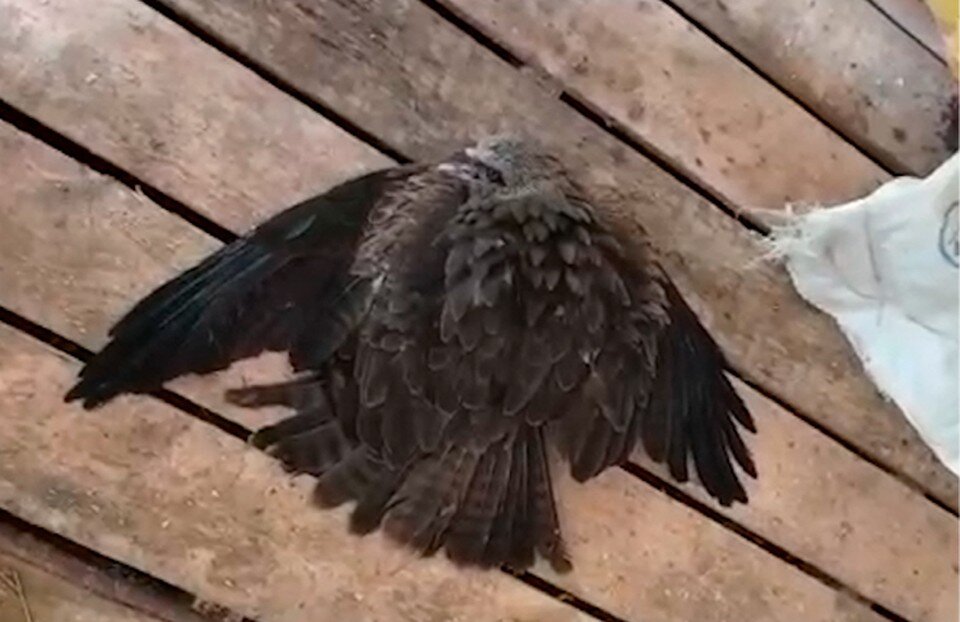     Проводится проверка