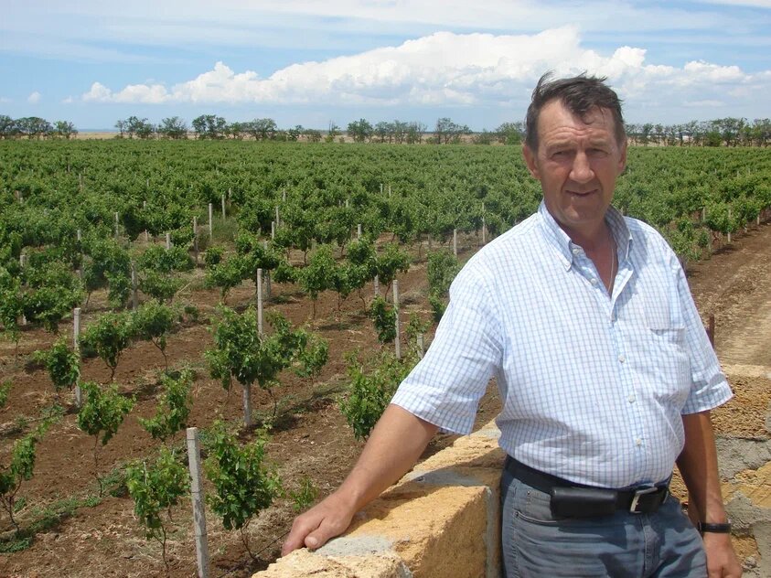 Владимир Сергеевич знает всё о выращивании винограда