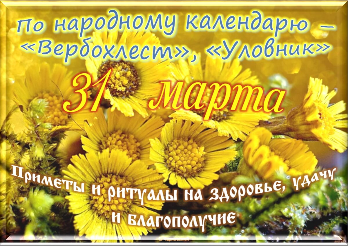Встречаем новый день